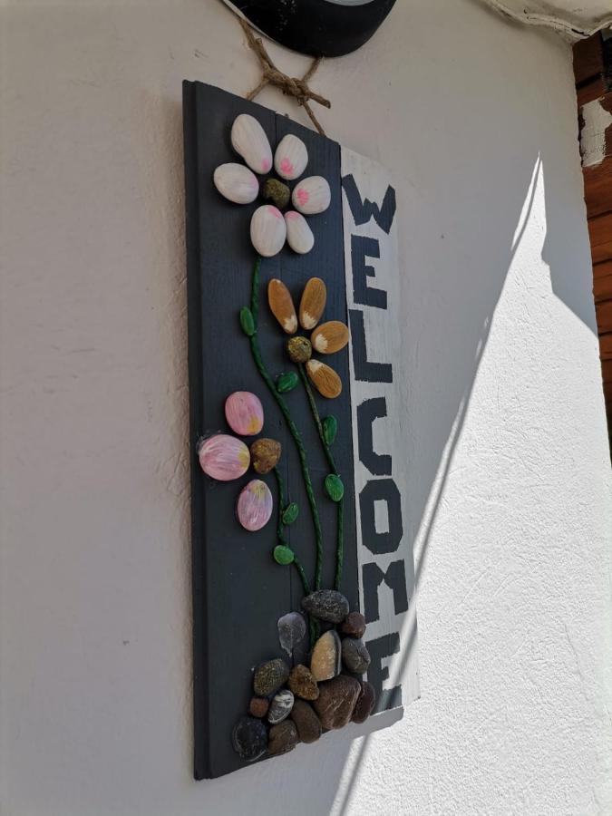 Apartman Zvoncica Vrsi Εξωτερικό φωτογραφία