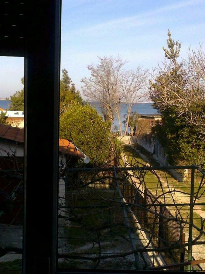Apartman Zvoncica Vrsi Εξωτερικό φωτογραφία