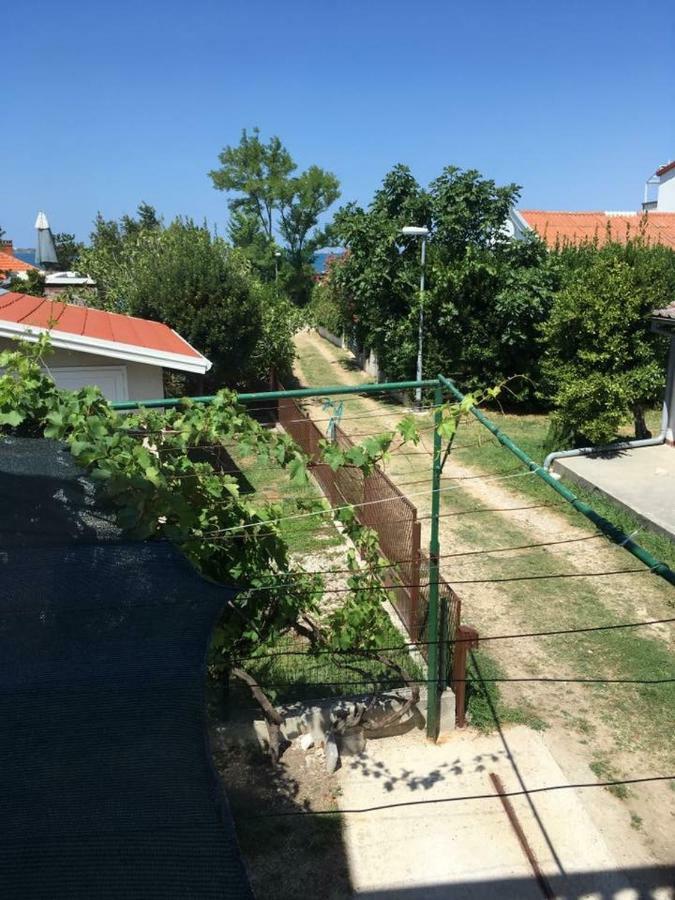 Apartman Zvoncica Vrsi Εξωτερικό φωτογραφία