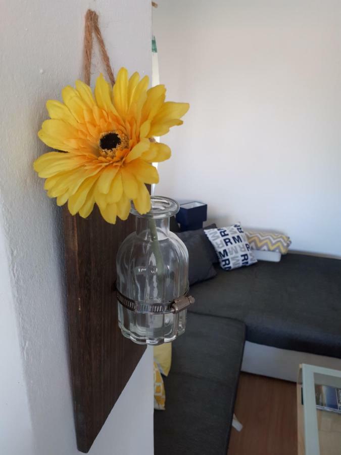Apartman Zvoncica Vrsi Εξωτερικό φωτογραφία