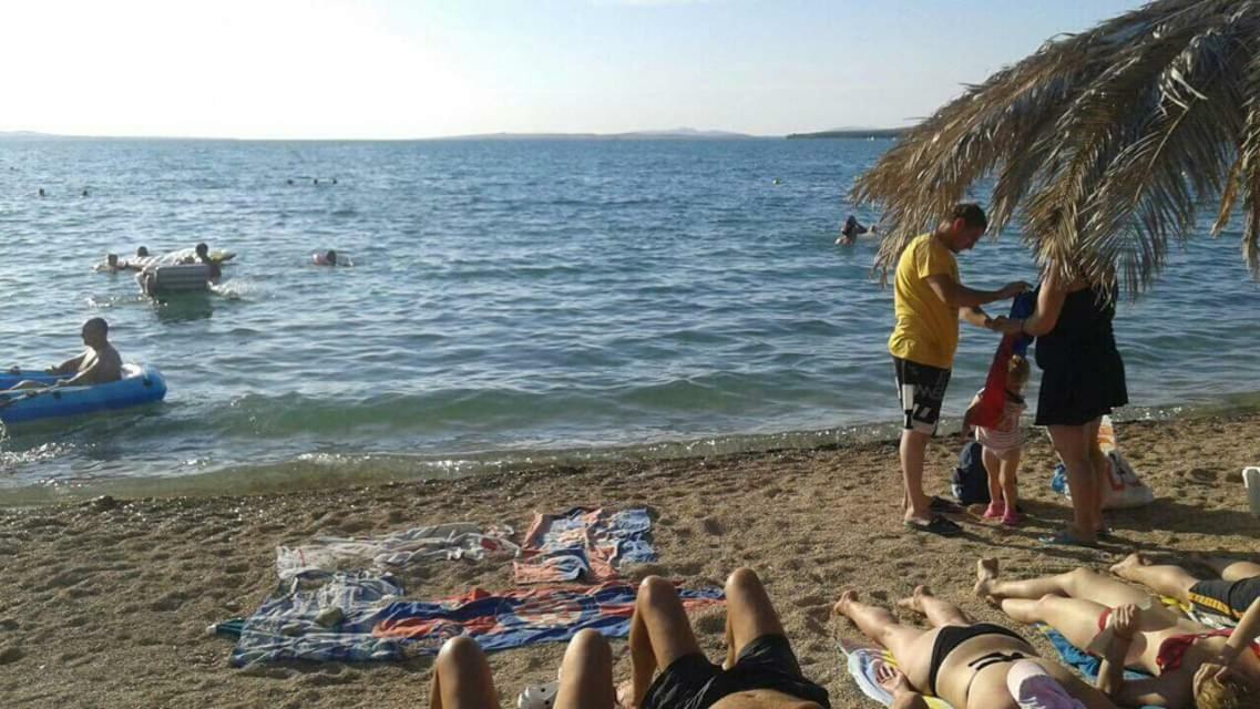 Apartman Zvoncica Vrsi Εξωτερικό φωτογραφία