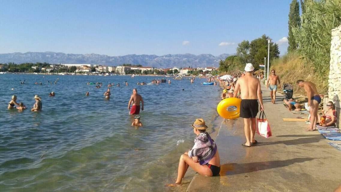 Apartman Zvoncica Vrsi Εξωτερικό φωτογραφία